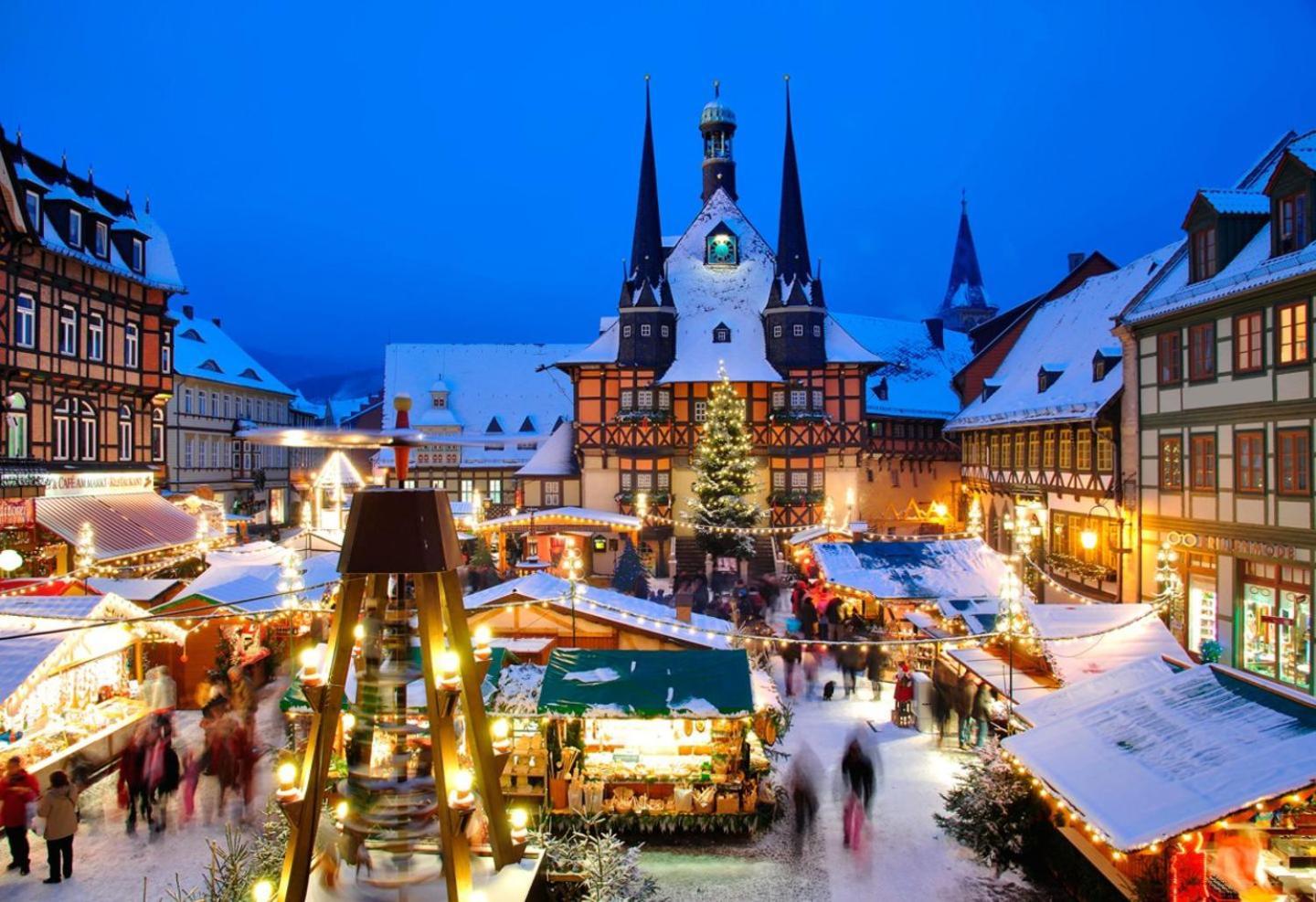 Ferienhaus Wernigerode "Am Schlossbuehel" 5 Schlafzimmer Ngoại thất bức ảnh